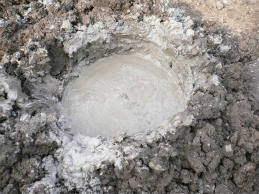 06.jpg